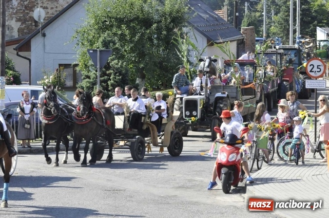 Zdjęcie w galerii na portalu naszraciborz.pl: Dożynki 2016. Z Krowiarek do Amandowa. Dożynkowy korowód jedzie aż godzinę wiadomości z regionu