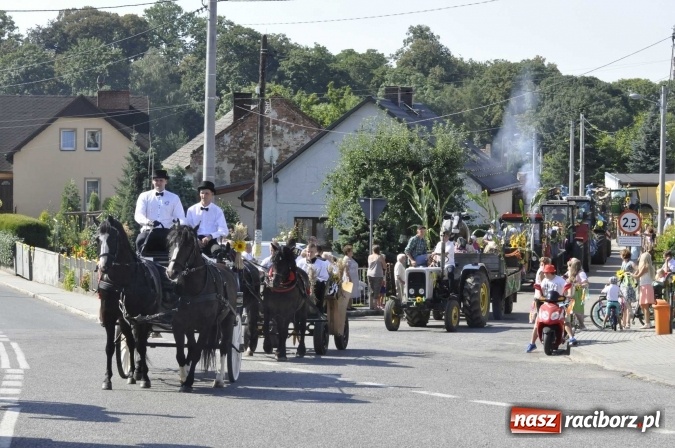 Zdjęcie w galerii na portalu naszraciborz.pl: Dożynki 2016. Z Krowiarek do Amandowa. Dożynkowy korowód jedzie aż godzinę wiadomości z regionu