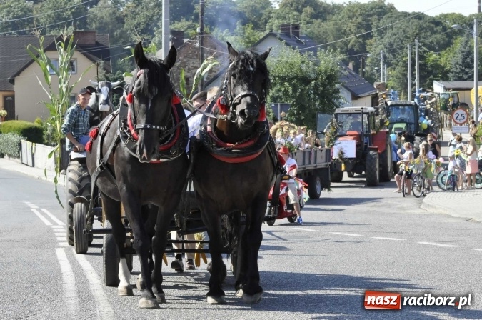 Zdjęcie w galerii na portalu naszraciborz.pl: Dożynki 2016. Z Krowiarek do Amandowa. Dożynkowy korowód jedzie aż godzinę wiadomości z regionu