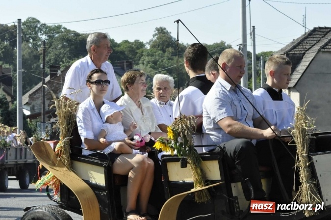 Zdjęcie w galerii na portalu naszraciborz.pl: Dożynki 2016. Z Krowiarek do Amandowa. Dożynkowy korowód jedzie aż godzinę wiadomości z regionu