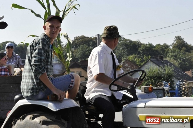 Zdjęcie w galerii na portalu naszraciborz.pl: Dożynki 2016. Z Krowiarek do Amandowa. Dożynkowy korowód jedzie aż godzinę wiadomości z regionu