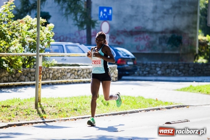 Zdjęcie w galerii na portalu naszraciborz.pl: II Rafako Półmaraton Racibórz. Trzy miejsca na podium dla Kenijczyków i rekord trasy wiadomości z regionu