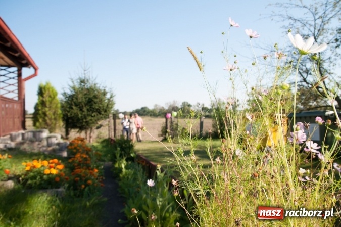 Zdjęcie w galerii na portalu naszraciborz.pl: Jubileusz trzydziestolecia ROD Pod Widokiem wiadomości z regionu