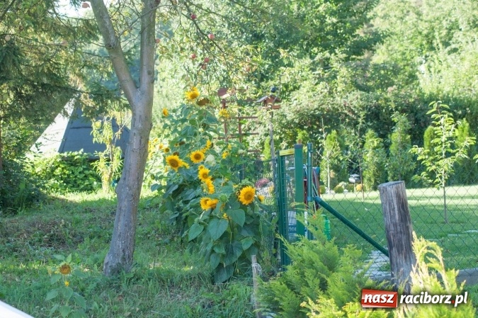 Zdjęcie w galerii na portalu naszraciborz.pl: Jubileusz trzydziestolecia ROD Pod Widokiem wiadomości z regionu