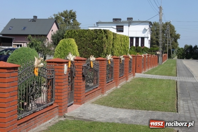 Zdjęcie w galerii na portalu naszraciborz.pl: Dożynki 2016. Barwny korowód przeszedł ulicami Wojnowic wiadomości z regionu