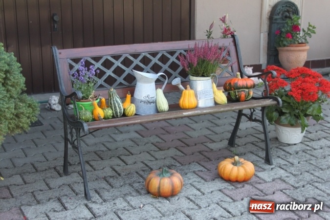 Zdjęcie w galerii na portalu naszraciborz.pl: Dożynki 2016. Barwny korowód przeszedł ulicami Wojnowic wiadomości z regionu