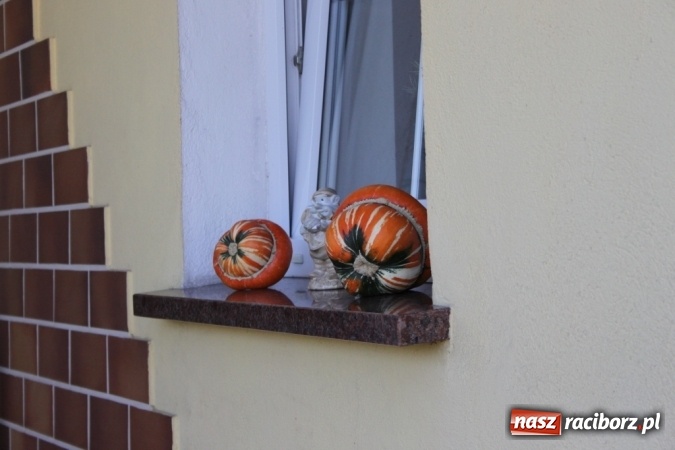 Zdjęcie w galerii na portalu naszraciborz.pl: Dożynki 2016. Barwny korowód przeszedł ulicami Wojnowic wiadomości z regionu