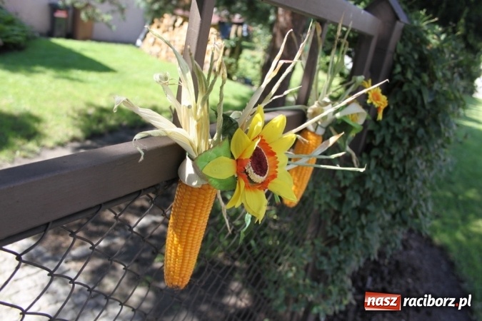 Zdjęcie w galerii na portalu naszraciborz.pl: Dożynki 2016. Barwny korowód przeszedł ulicami Wojnowic wiadomości z regionu