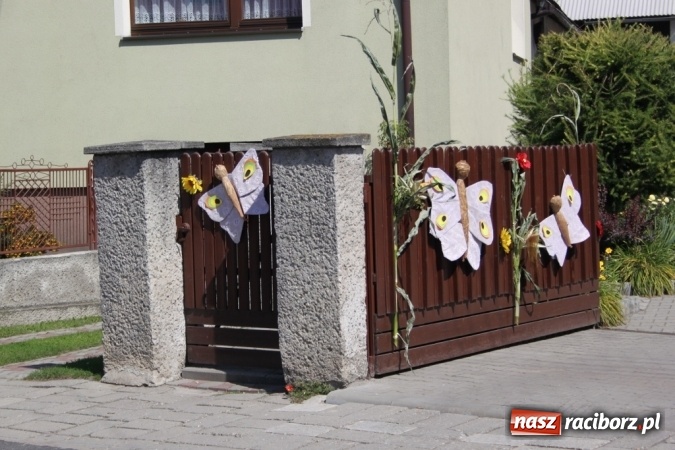 Zdjęcie w galerii na portalu naszraciborz.pl: Dożynki 2016. Barwny korowód przeszedł ulicami Wojnowic wiadomości z regionu