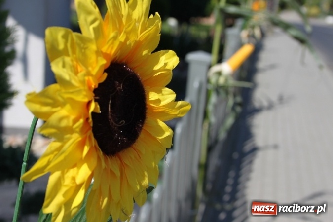 Zdjęcie w galerii na portalu naszraciborz.pl: Dożynki 2016. Barwny korowód przeszedł ulicami Wojnowic wiadomości z regionu