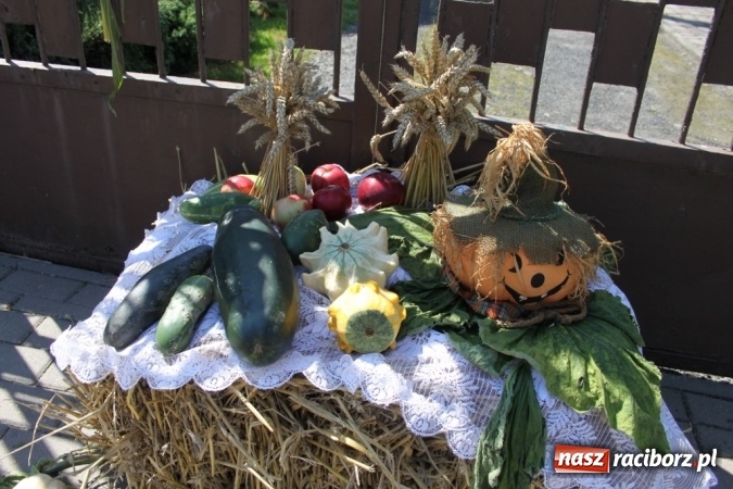 Zdjęcie w galerii na portalu naszraciborz.pl: Dożynki 2016. Barwny korowód przeszedł ulicami Wojnowic wiadomości z regionu
