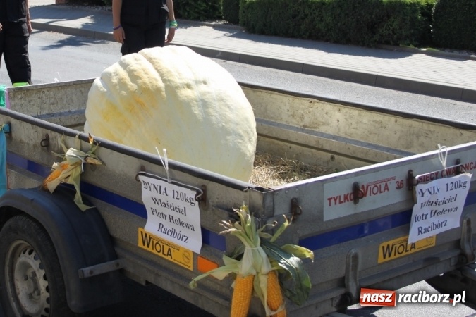 Zdjęcie w galerii na portalu naszraciborz.pl: Dożynki 2016. Barwny korowód przeszedł ulicami Wojnowic wiadomości z regionu