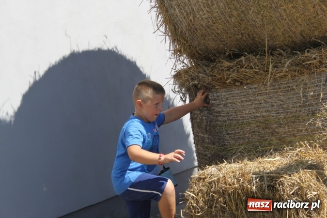 Zdjęcie w galerii na portalu naszraciborz.pl: Dożynki 2016. Barwny korowód przeszedł ulicami Wojnowic wiadomości z regionu