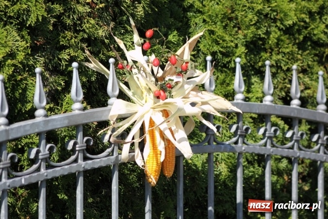 Zdjęcie w galerii na portalu naszraciborz.pl: Dożynki 2016. Barwny korowód przeszedł ulicami Wojnowic wiadomości z regionu