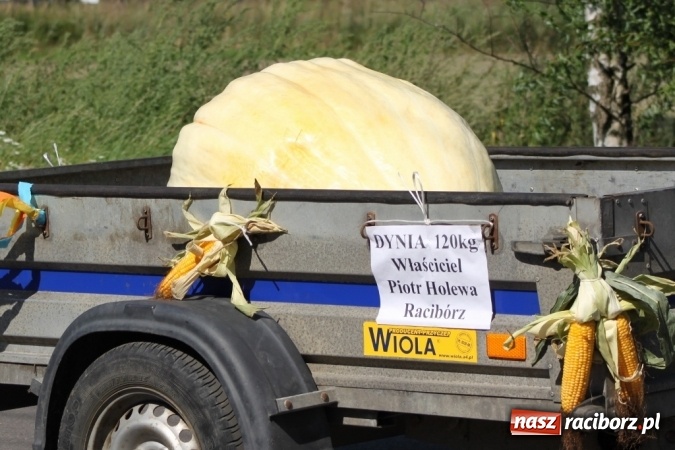Zdjęcie w galerii na portalu naszraciborz.pl: Dożynki 2016. Barwny korowód przeszedł ulicami Wojnowic wiadomości z regionu