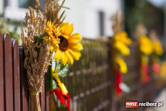 Zdjęcie w galerii na portalu naszraciborz.pl: Dożynki 2016. W Cyprzanowie z Lekartowem dziękowali za plony wiadomości z regionu