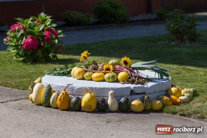 Zdjęcie w galerii na portalu naszraciborz.pl: Dożynki 2016. W Cyprzanowie z Lekartowem dziękowali za plony wiadomości z regionu