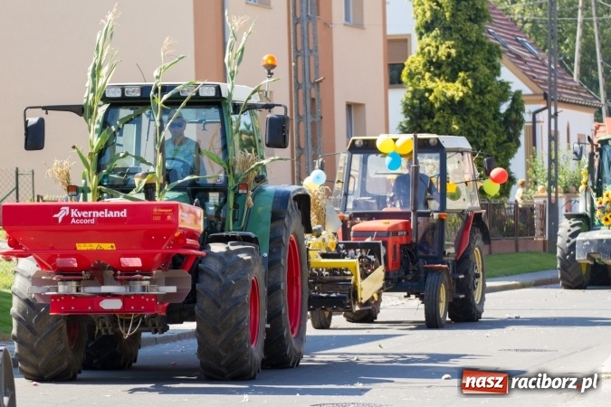 Zdjęcie w galerii na portalu naszraciborz.pl: Dożynki 2016. Pamiętniki z wakacji i Piana Straż w Rudniku wiadomości z regionu