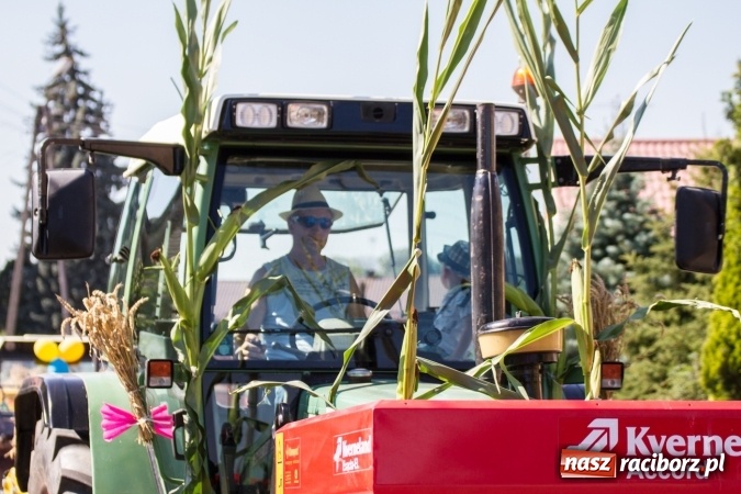 Zdjęcie w galerii na portalu naszraciborz.pl: Dożynki 2016. Pamiętniki z wakacji i Piana Straż w Rudniku wiadomości z regionu