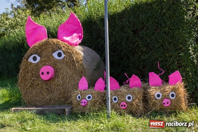 Zdjęcie w galerii na portalu naszraciborz.pl: Dożynki 2016. Pamiętniki z wakacji i Piana Straż w Rudniku wiadomości z regionu