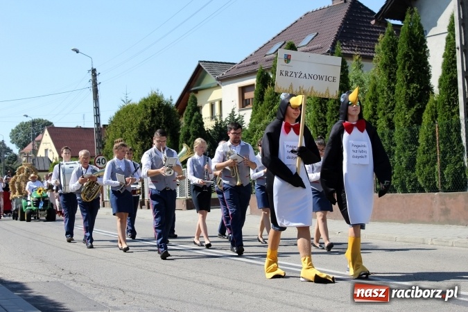 Zdjęcie w galerii na portalu naszraciborz.pl: Dożynki 2016. W Krzyżanowicach po żniwnioku baby do kurortów rozwiozą  wiadomości z regionu
