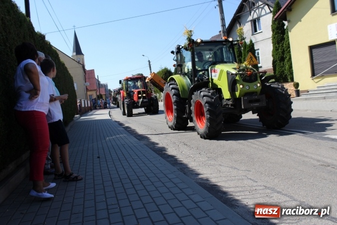 Zdjęcie w galerii na portalu naszraciborz.pl: Dożynki 2016. W Krzyżanowicach po żniwnioku baby do kurortów rozwiozą  wiadomości z regionu
