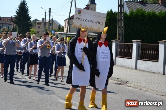 Zdjęcie w galerii na portalu naszraciborz.pl: Dożynki 2016. W Krzyżanowicach po żniwnioku baby do kurortów rozwiozą  wiadomości z regionu
