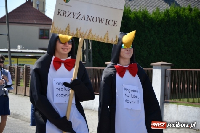 Zdjęcie w galerii na portalu naszraciborz.pl: Dożynki 2016. W Krzyżanowicach po żniwnioku baby do kurortów rozwiozą  wiadomości z regionu