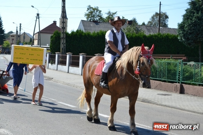 Zdjęcie w galerii na portalu naszraciborz.pl: Dożynki 2016. W Krzyżanowicach po żniwnioku baby do kurortów rozwiozą  wiadomości z regionu