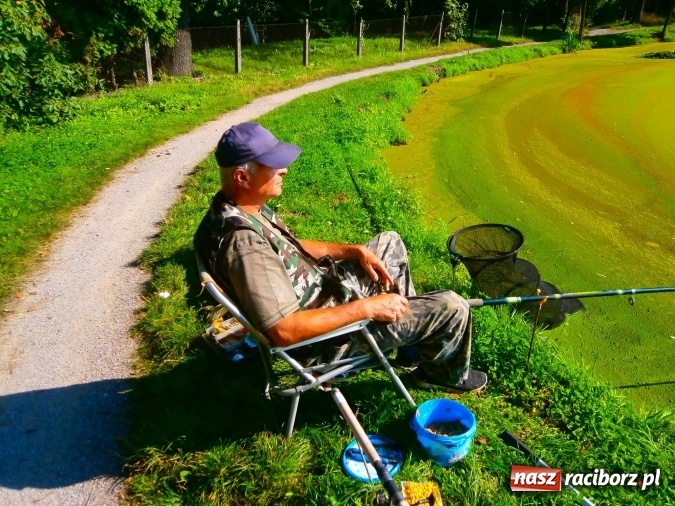 Zdjęcie w galerii na portalu naszraciborz.pl: Emeryci i renciści rywalizowali na Trzecioku wiadomości z regionu