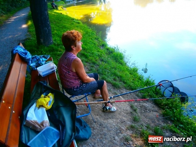Zdjęcie w galerii na portalu naszraciborz.pl: Emeryci i renciści rywalizowali na Trzecioku wiadomości z regionu