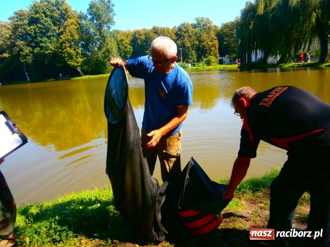 Zdjęcie w galerii na portalu naszraciborz.pl: Emeryci i renciści rywalizowali na Trzecioku wiadomości z regionu