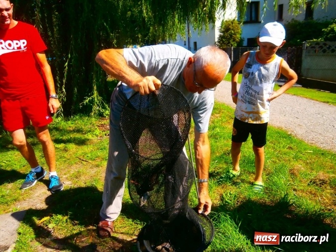 Zdjęcie w galerii na portalu naszraciborz.pl: Emeryci i renciści rywalizowali na Trzecioku wiadomości z regionu