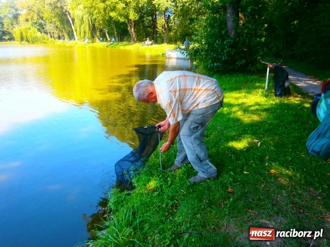 Zdjęcie w galerii na portalu naszraciborz.pl: Emeryci i renciści rywalizowali na Trzecioku wiadomości z regionu