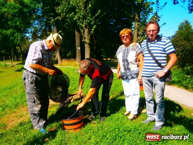 Zdjęcie w galerii na portalu naszraciborz.pl: Emeryci i renciści rywalizowali na Trzecioku wiadomości z regionu