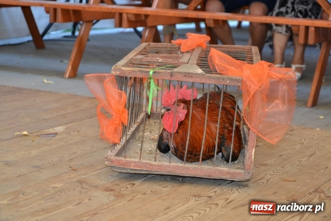 Zdjęcie w galerii na portalu naszraciborz.pl: Grupa trzymająca władzę na festynie dożynkowym w Krzyżanowicach wiadomości z regionu