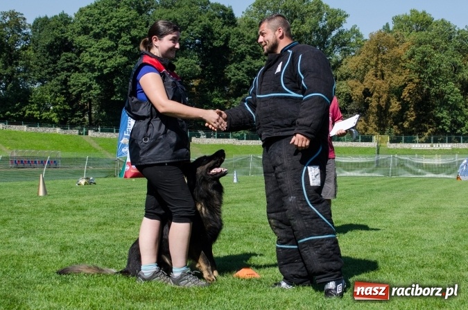 Zdjęcie w galerii na portalu naszraciborz.pl: Psie zmagania podczas drugiego dnia zawodów w mondioringu  wiadomości z regionu