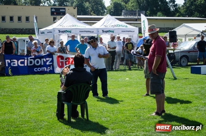 Zdjęcie w galerii na portalu naszraciborz.pl: Psie zmagania podczas drugiego dnia zawodów w mondioringu  wiadomości z regionu