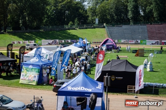 Zdjęcie w galerii na portalu naszraciborz.pl: Psie zmagania podczas drugiego dnia zawodów w mondioringu  wiadomości z regionu