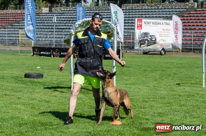 Zdjęcie w galerii na portalu naszraciborz.pl: Psie zmagania podczas drugiego dnia zawodów w mondioringu  wiadomości z regionu