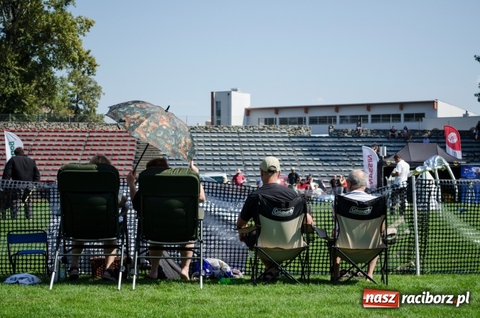Zdjęcie w galerii na portalu naszraciborz.pl: Psie zmagania podczas drugiego dnia zawodów w mondioringu  wiadomości z regionu