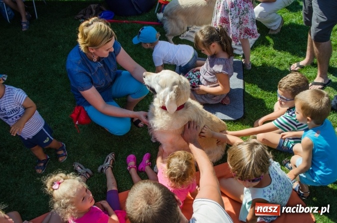 Zdjęcie w galerii na portalu naszraciborz.pl: Psie zmagania podczas drugiego dnia zawodów w mondioringu  wiadomości z regionu