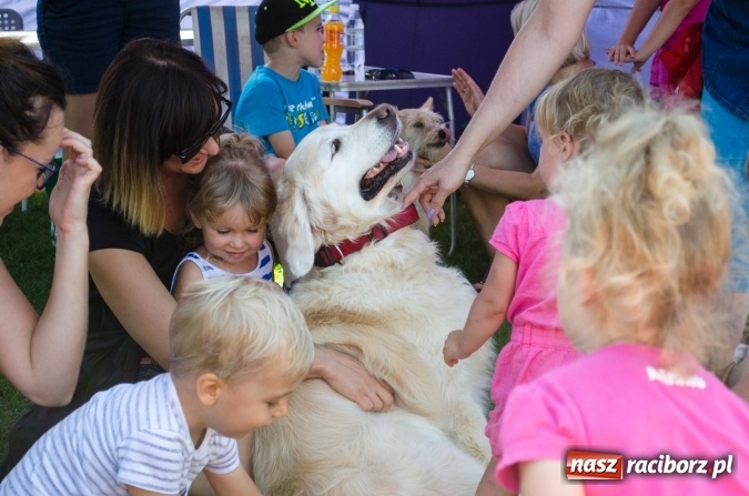 Zdjęcie w galerii na portalu naszraciborz.pl: Psie zmagania podczas drugiego dnia zawodów w mondioringu  wiadomości z regionu