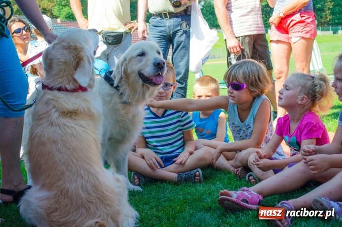 Zdjęcie w galerii na portalu naszraciborz.pl: Psie zmagania podczas drugiego dnia zawodów w mondioringu  wiadomości z regionu