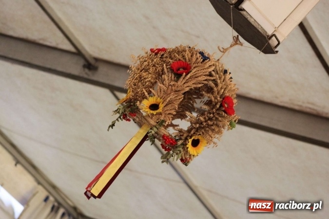 Zdjęcie w galerii na portalu naszraciborz.pl: Dożynki w Bojanowie. Dziś zabawa, jutro korowód  wiadomości z regionu