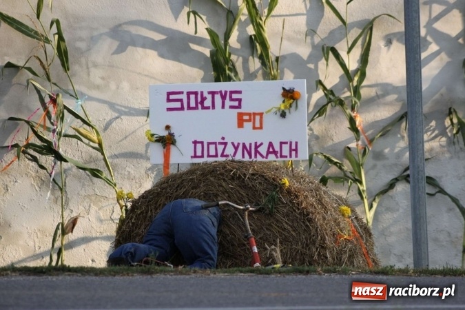 Zdjęcie w galerii na portalu naszraciborz.pl: Dożynki w Bojanowie. Dziś zabawa, jutro korowód  wiadomości z regionu