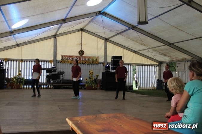 Zdjęcie w galerii na portalu naszraciborz.pl: Dożynki w Bojanowie. Dziś zabawa, jutro korowód  wiadomości z regionu