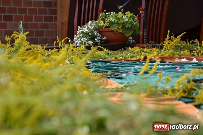 Zdjęcie w galerii na portalu naszraciborz.pl: Narodowe Czytanie 2016 na Zamku Piastowskim za nami wiadomości z regionu