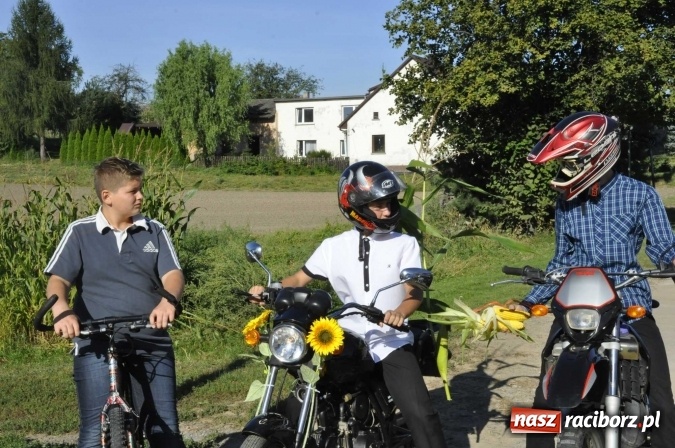 Zdjęcie w galerii na portalu naszraciborz.pl: Dożynki 2016. W Gamowie najmłodsi wypełnili korowód wiadomości z regionu