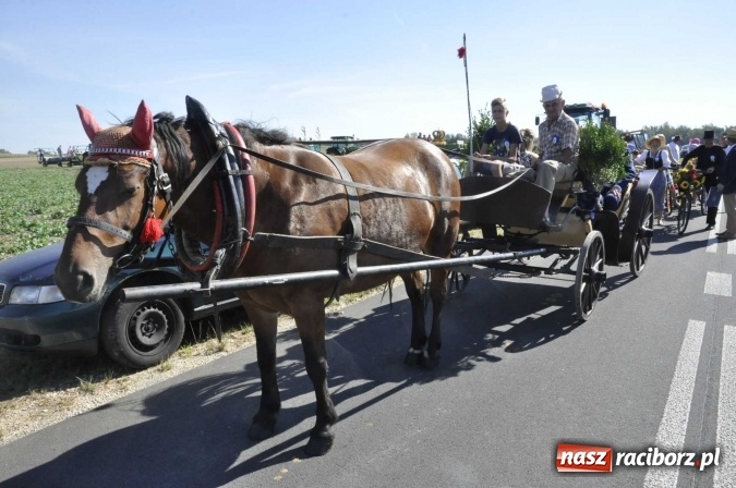 Zdjęcie w galerii na portalu naszraciborz.pl: Dożynki 2016. Praczki Słowianki z Żerdzin i dżentelmeni z Pawłowa w korowodzie na gminnych dożynkach w Makowie wiadomości z regionu